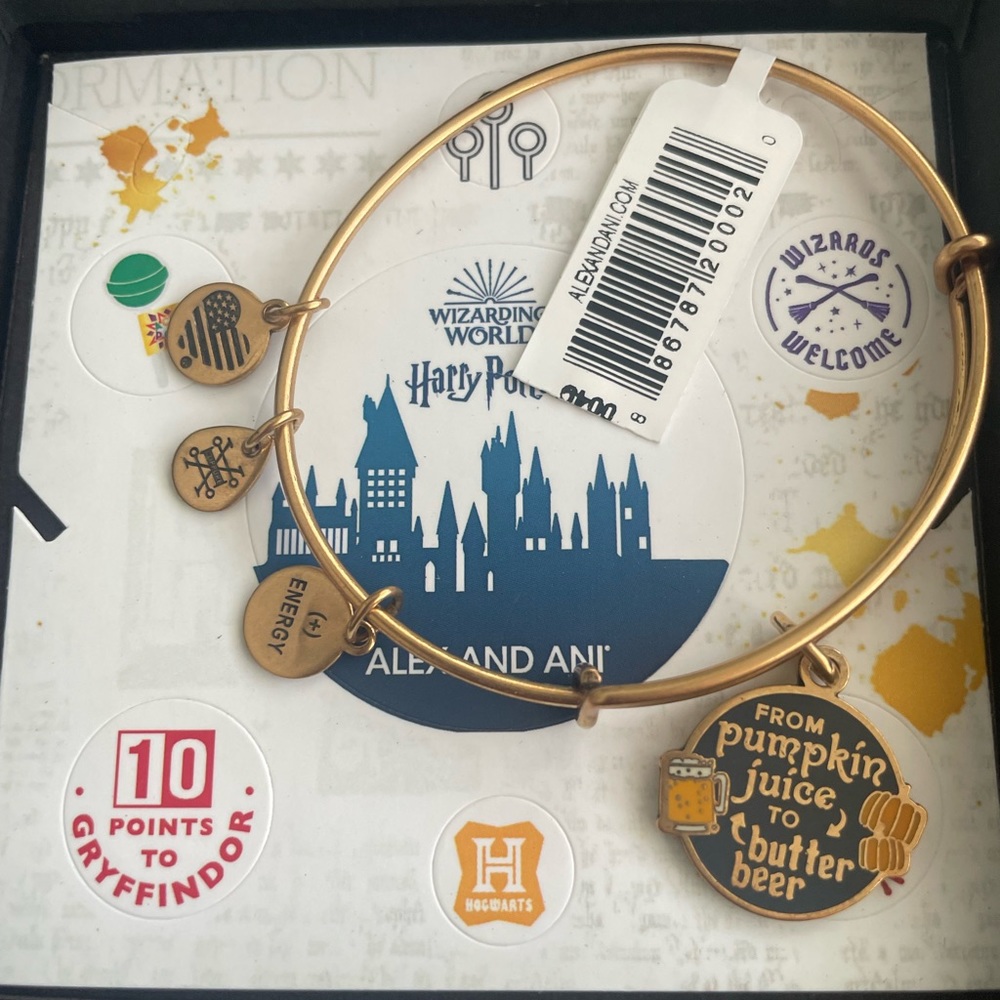 ⚡️ NWT Alex and Ani Harry Potter™ From Pumpkin Juice To Butter Beer Charm Bangle